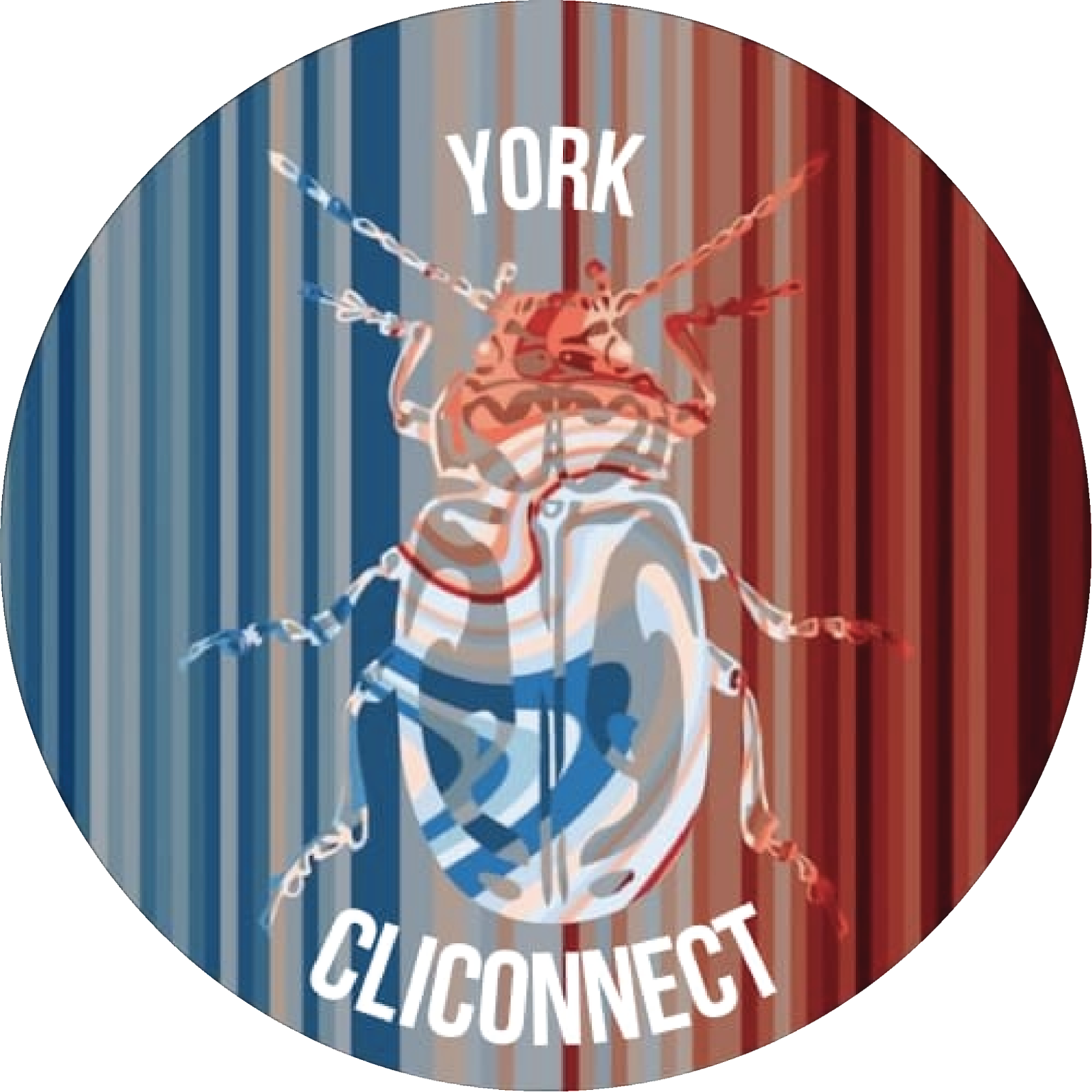 YorkCliConnect's logo: a drawing of a Tansy beetle on a background of climate warming stripes. The stripes warp around the shell of the beetle, alluding to the interactions between the climate and nature crises