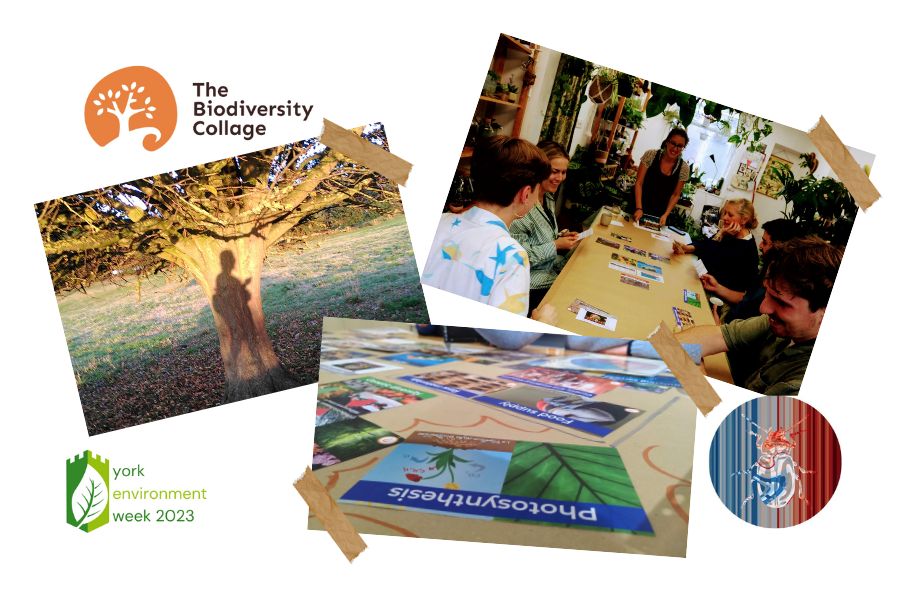 3 images, one of a big tree, one of people smiling around a table, another of a card with the word 'photosynthesis' written on it.  Accompanies by the logos of Biodiversity Collage, York Environment Week and YorkCliConnect